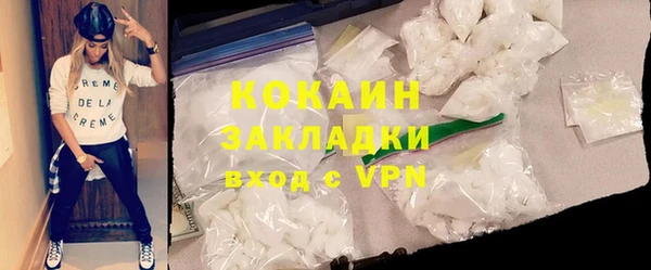 шишки Гусев