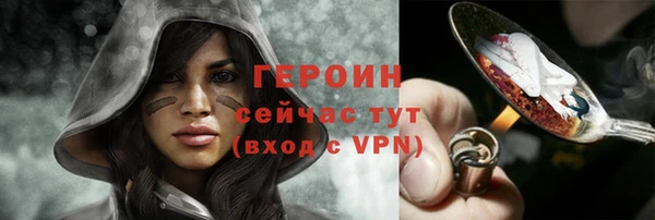 шишки Гусев
