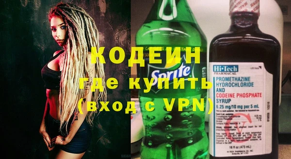 шишки Гусев