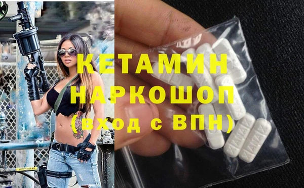 шишки Гусев