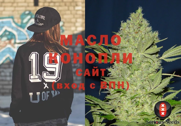 шишки Гусев