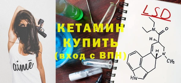 шишки Гусев