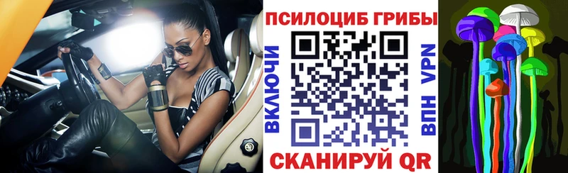 сколько стоит  Красногорск  Галлюциногенные грибы Psilocybine cubensis 